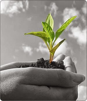 Qualia Counselling Services | 16 Andrew St, Kitchener, ON N2H 5R2, Canada | Phone: (519) 804-4450