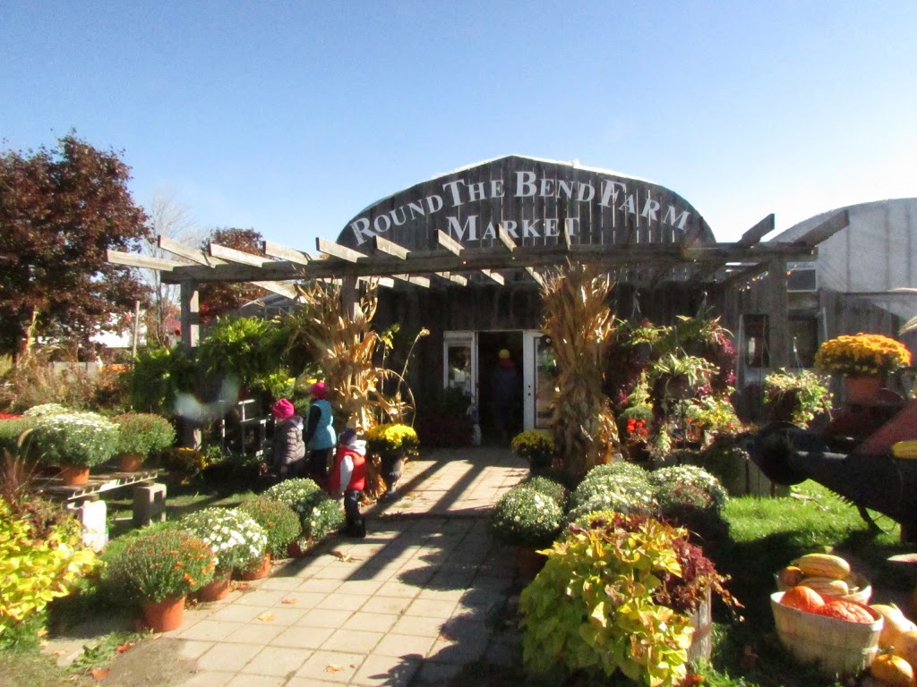 Round The Bend Farm | 16225 Jane St, Kettleby, ON L7B 0G3, Canada | Phone: (905) 727-0023
