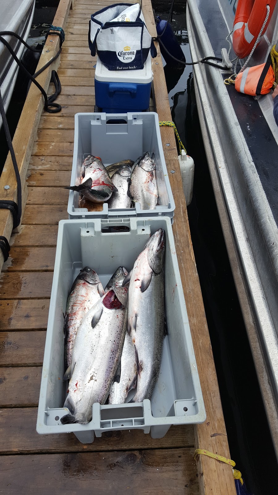 Island Outfitters Port Renfrew Fishing Charters | 17110 Parkinson Rd, Port Renfrew, BC V0S 1K0, Canada | Phone: (250) 475-4969