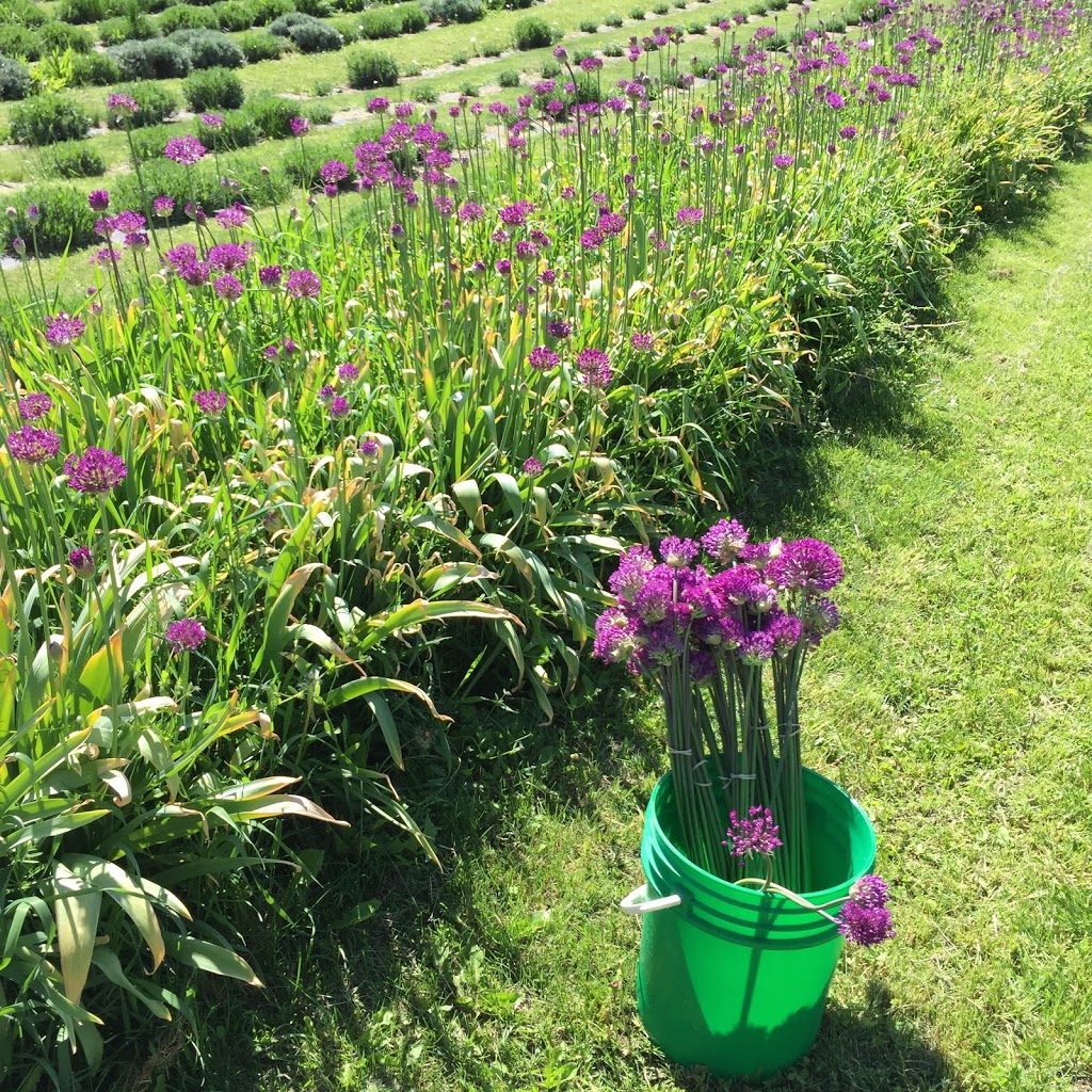 Hartwood North Farm | 4462 Salmon River Rd, Armstrong, BC V0E 1B4, Canada | Phone: (250) 558-6804