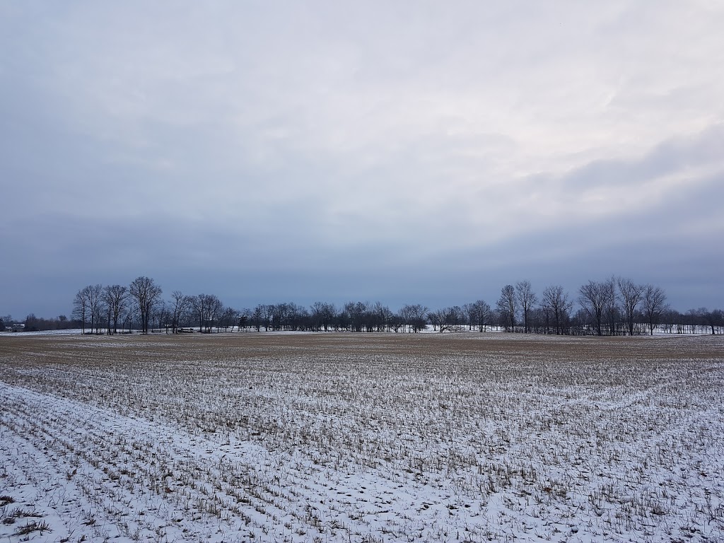 Beaver Meadow Wildlife Management Area | Prince Edward, ON K0K, Canada | Phone: (613) 968-3434