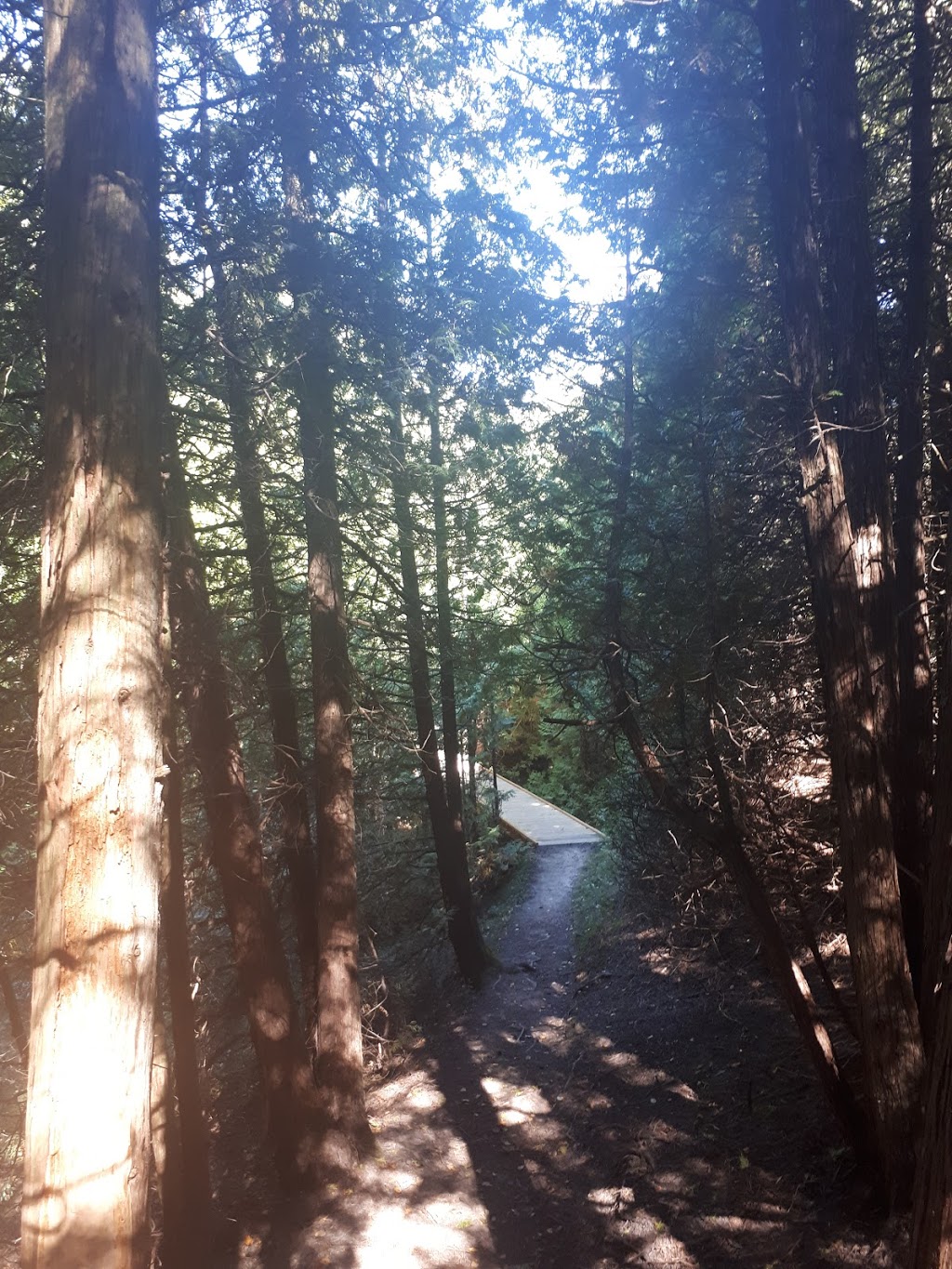 Bannockburn Trail | 76249 Bannockburn Line, Exeter, ON N0M 2R0, Canada