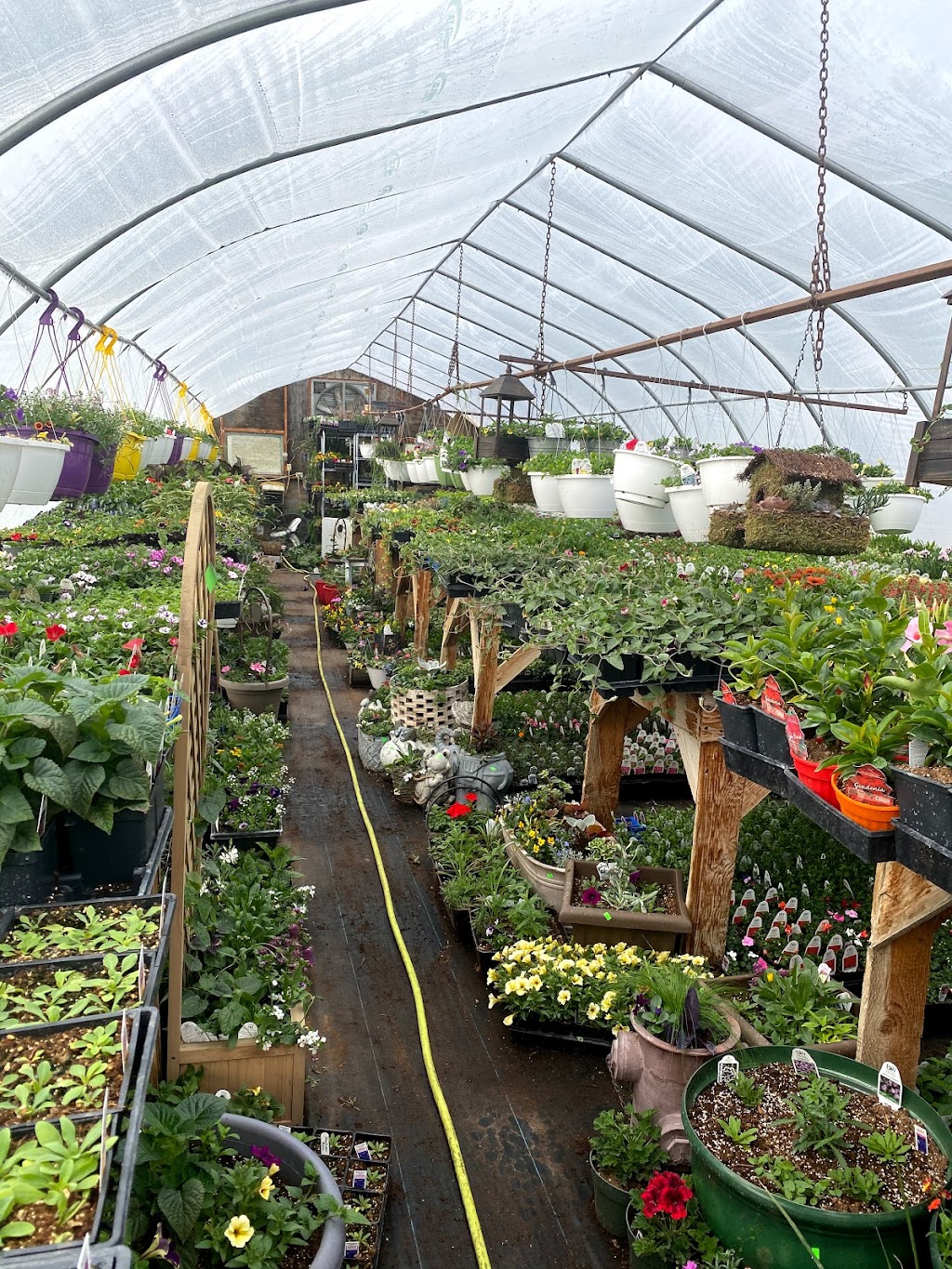 Big Muddy Greenhouse | Castle butte, Bengough, SK S0C 0K0, Canada | Phone: (306) 268-2627