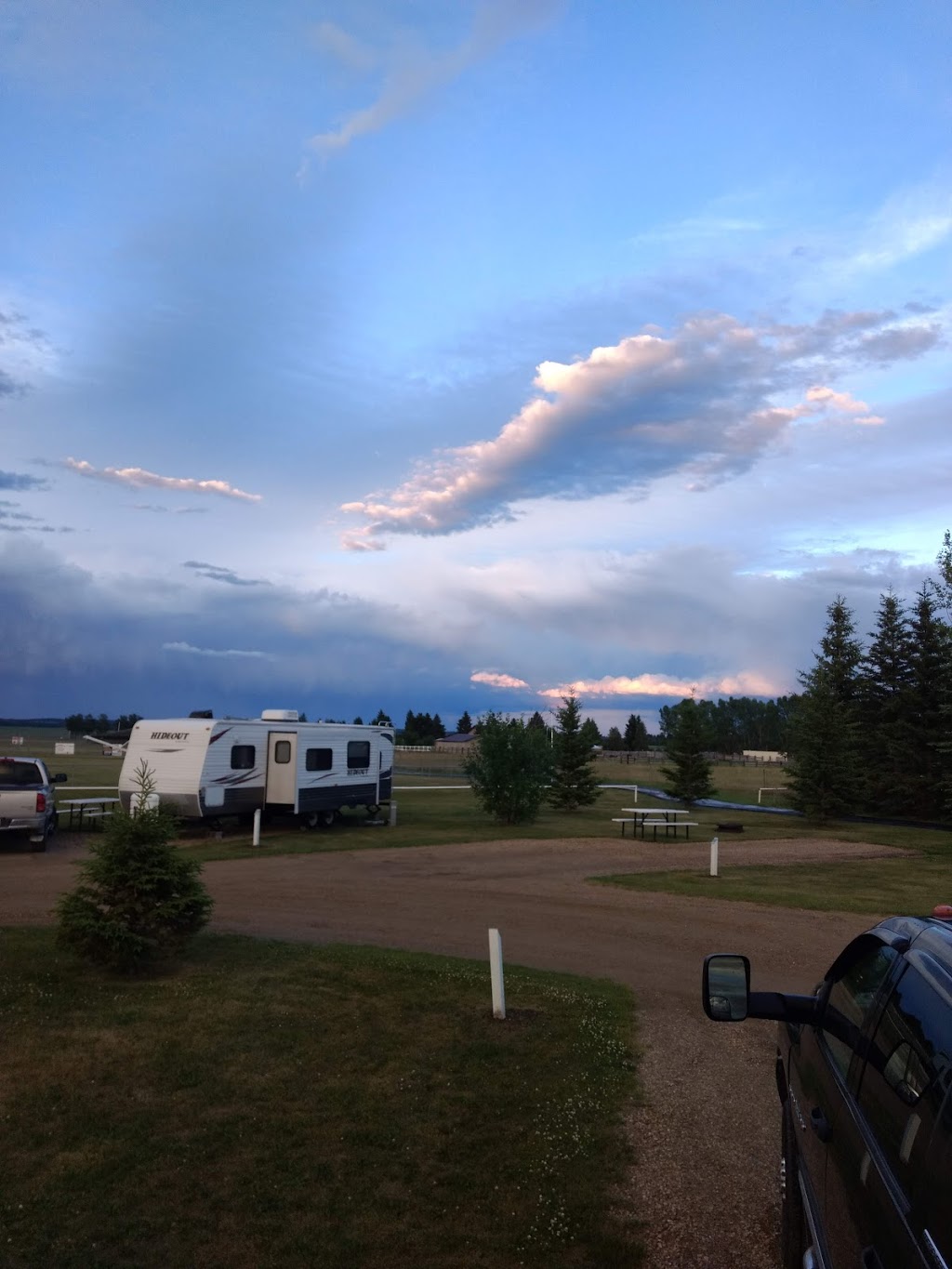 The Nesting Place | 40 Ave, Rimbey, AB T0C 2J0, Canada | Phone: (403) 704-6997