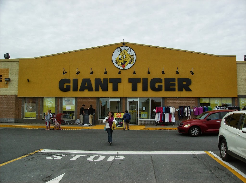 Giant Tiger | 114 Woodlawn Rd, Dartmouth, NS B2W 2S7, Canada | Phone: (902) 435-8805