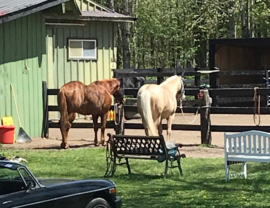 Railside Stables | Minesing, ON L0L 1Y3, Canada | Phone: (705) 715-7686