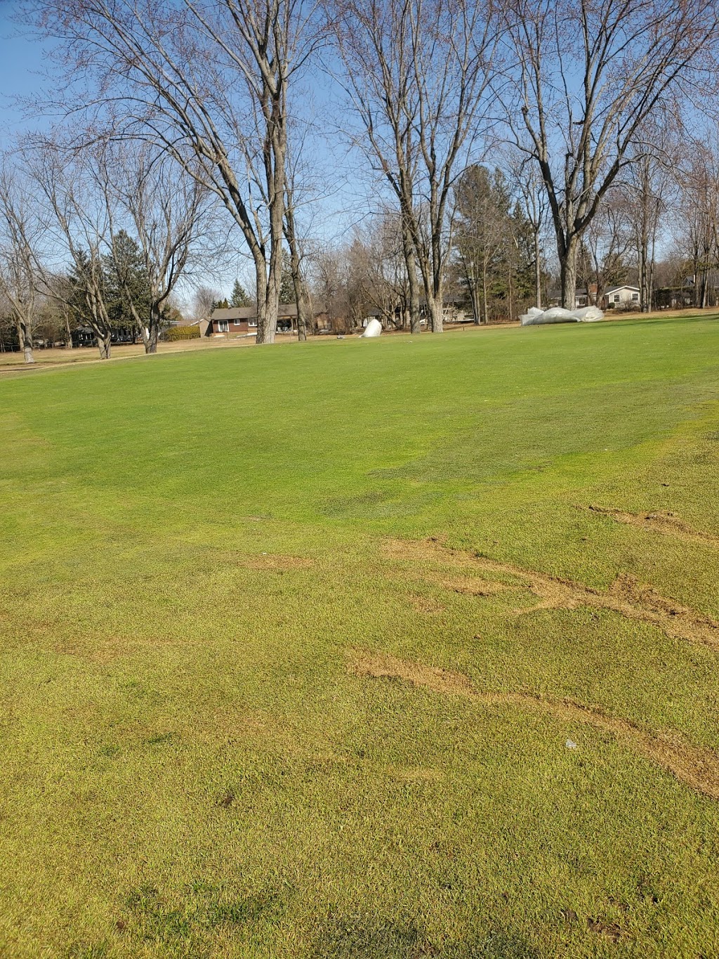 Carleton Golf & Yacht Club | 6627 Marina Dr, Manotick, ON K4M 1B3, Canada | Phone: (613) 692-3531