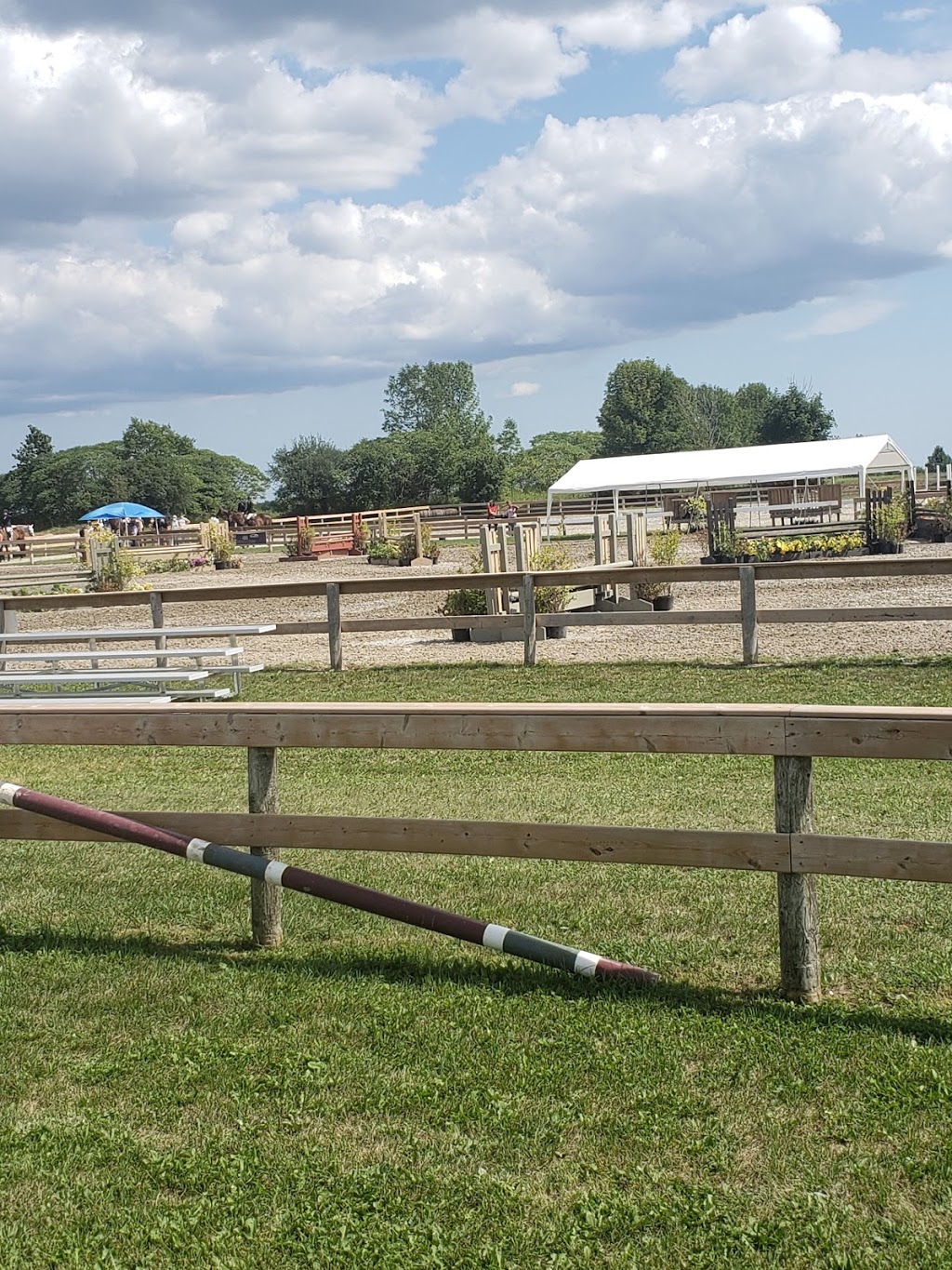 Ten Sixty Stables | 1060 Scugog Line 12, Uxbridge, ON L9P 1R3, Canada | Phone: (905) 985-2001