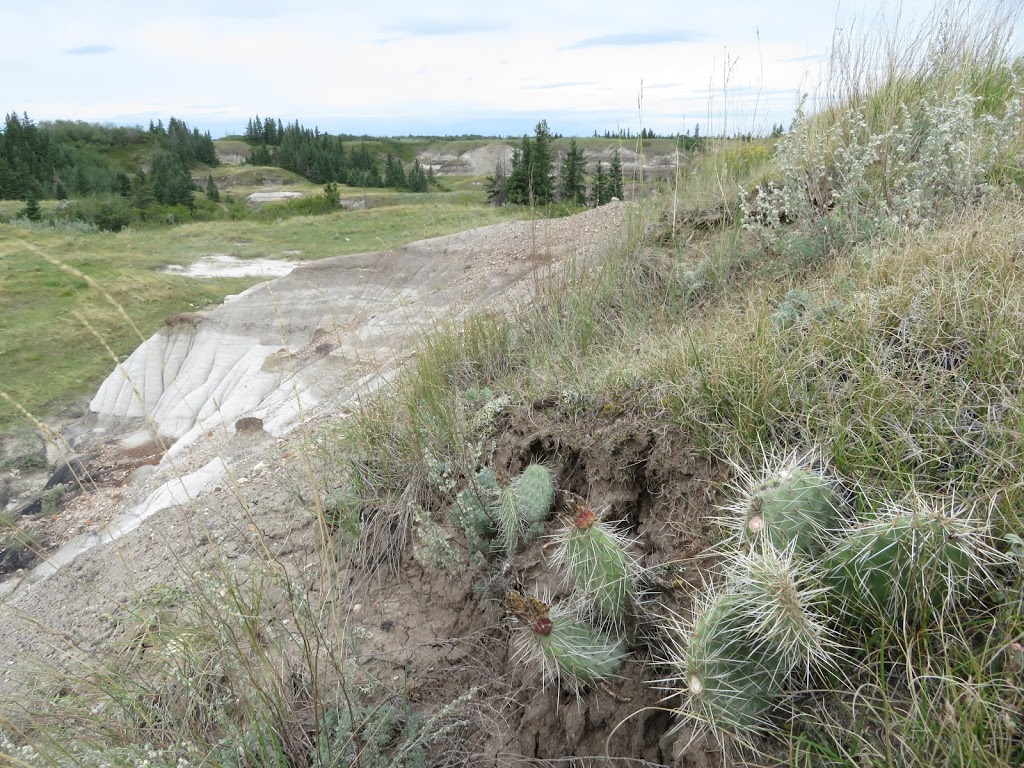 LaPrairieaire EcoTourism | RR1, Donalda, AB T0B 1H0, Canada | Phone: (403) 860-1313