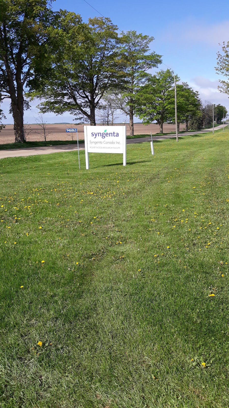 Syngenta Honeywood Research Farm | 946863 Township Rd 14, Plattsville, ON N0J 1S0, Canada | Phone: (519) 696-2269