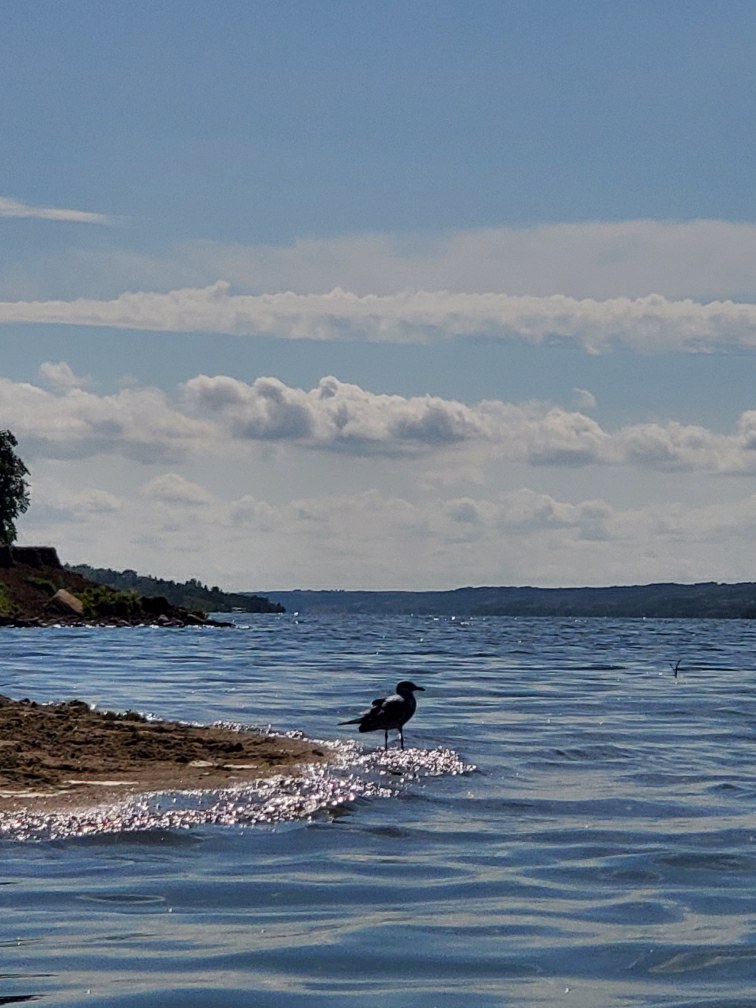 Buffalo View Campground | Unnamed Road, 1P0, Findlater, SK S0H 4C0, Canada | Phone: (306) 693-7453