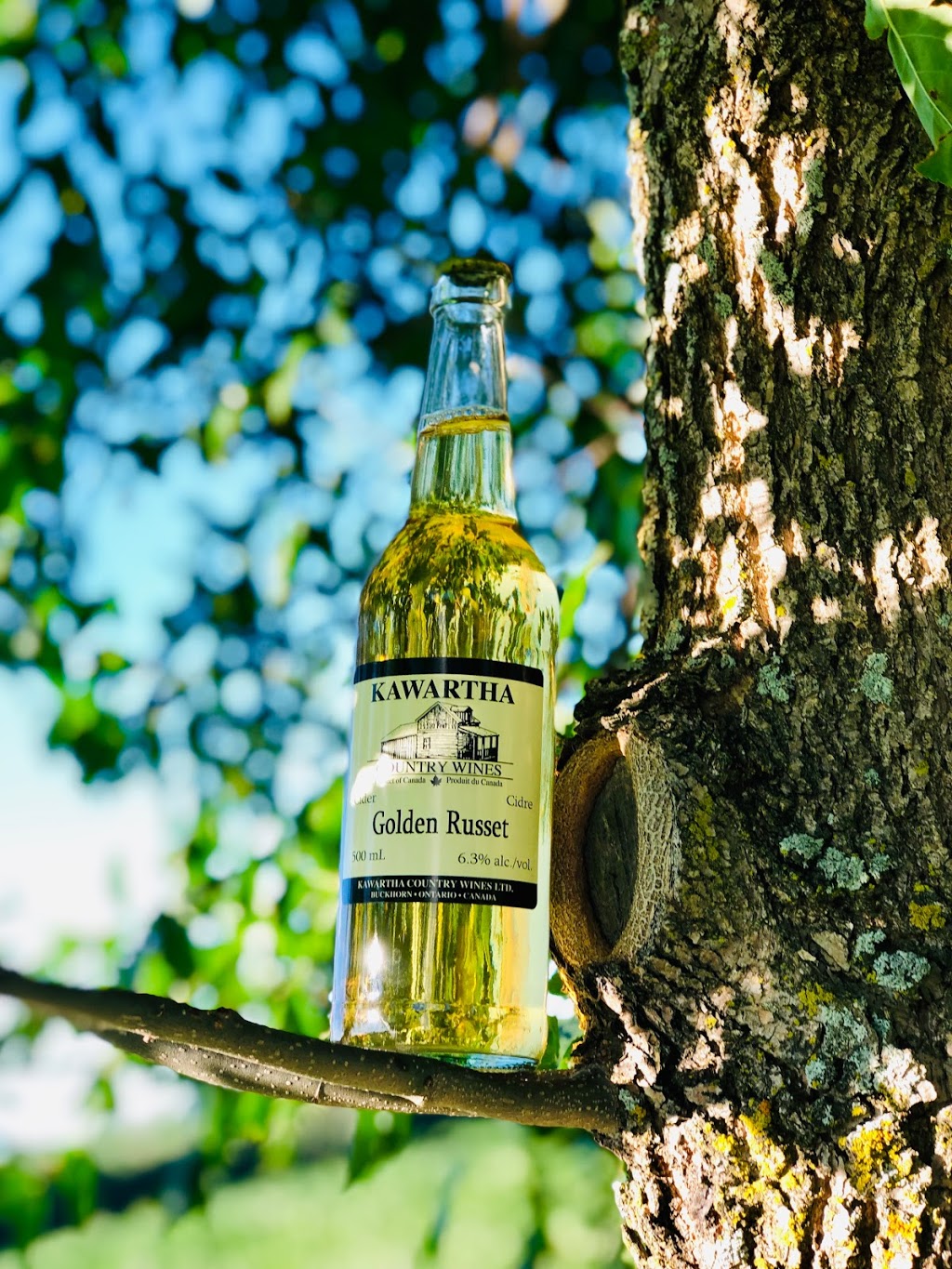 Kawartha Country Wines | 2452 Peterborough County Rd 36, Buckhorn, ON K0L 1J0, Canada | Phone: (705) 657-9916