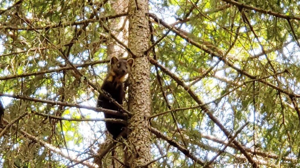 Black Hole - UNESCO Fundy Biosphere Reserve Amazing Place | Alma Parish, NB E4H, Canada | Phone: (506) 874-3272