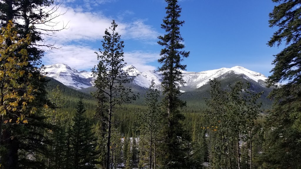 Little Elbow Campground | AB-66, Bragg Creek, AB T0L 0K0, Canada | Phone: (403) 949-3132