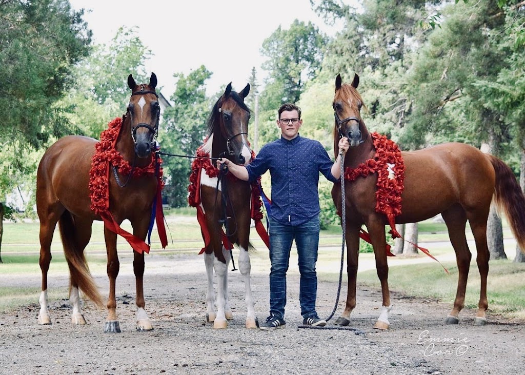 Ehret Equine | Range Rd 265, Falun, AB T0C 1H0, Canada | Phone: (780) 352-0332