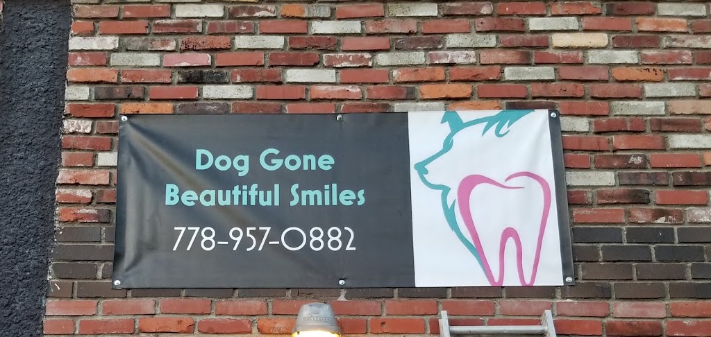 Dog gone beautiful Smiles aldergrove | 27159 Fraser Hwy, Aldergrove, BC V4W 3P7, Canada | Phone: (604) 427-0880