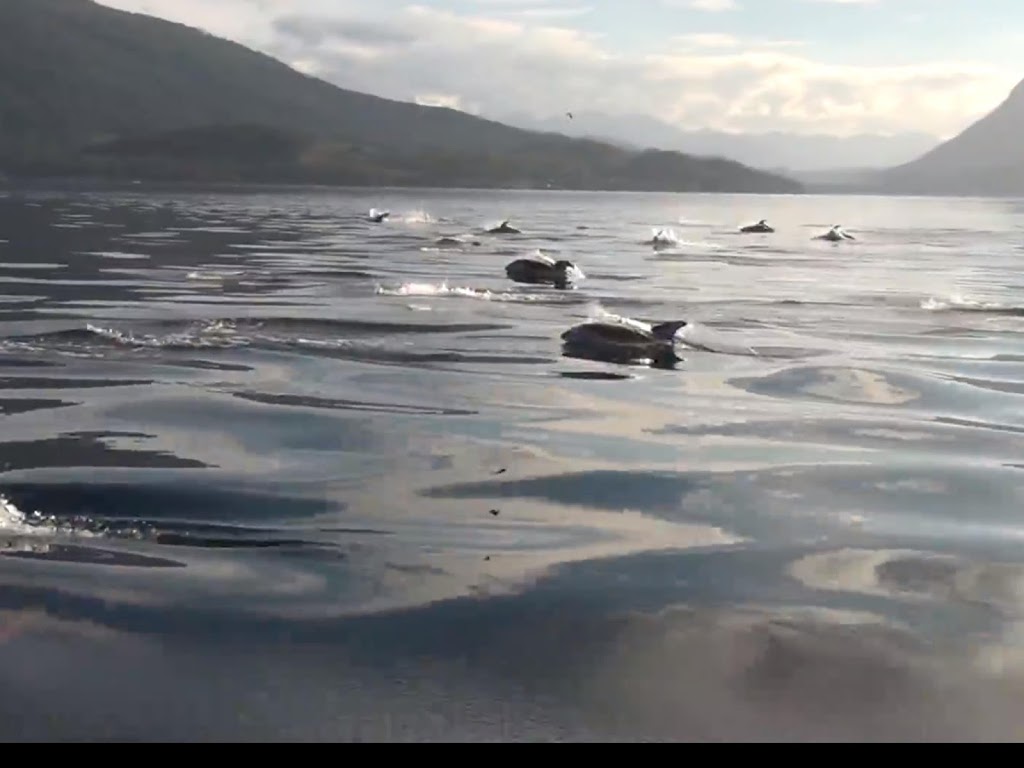 Skookumchuck Boat Tours | 6771 Egmont Rd, Egmont, BC V0N 1N0, Canada | Phone: (604) 883-2066