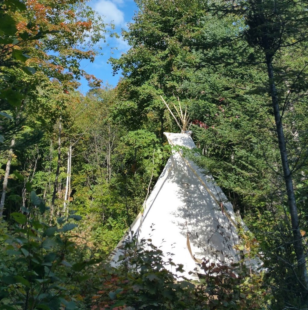 Amishk | 3025 8e Rang E, Saint-Calixte, QC J0K 1Z0, Canada | Phone: (418) 802-5191