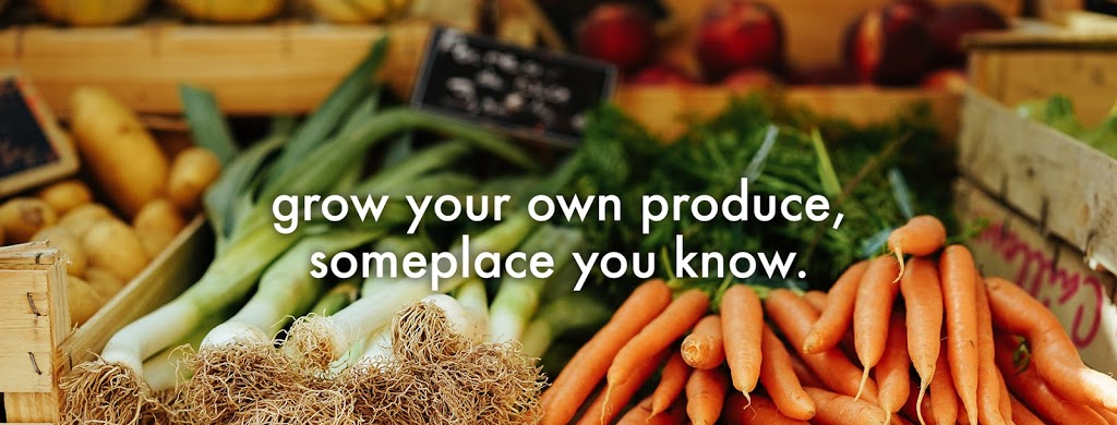 Grow Green | 19100 Centre St, Mount Albert, ON L0G 1M0, Canada | Phone: (647) 224-0990