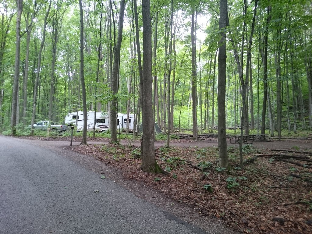 Wolf Campground | Tiny, ON L9M 1R2, Canada | Phone: (705) 549-2231