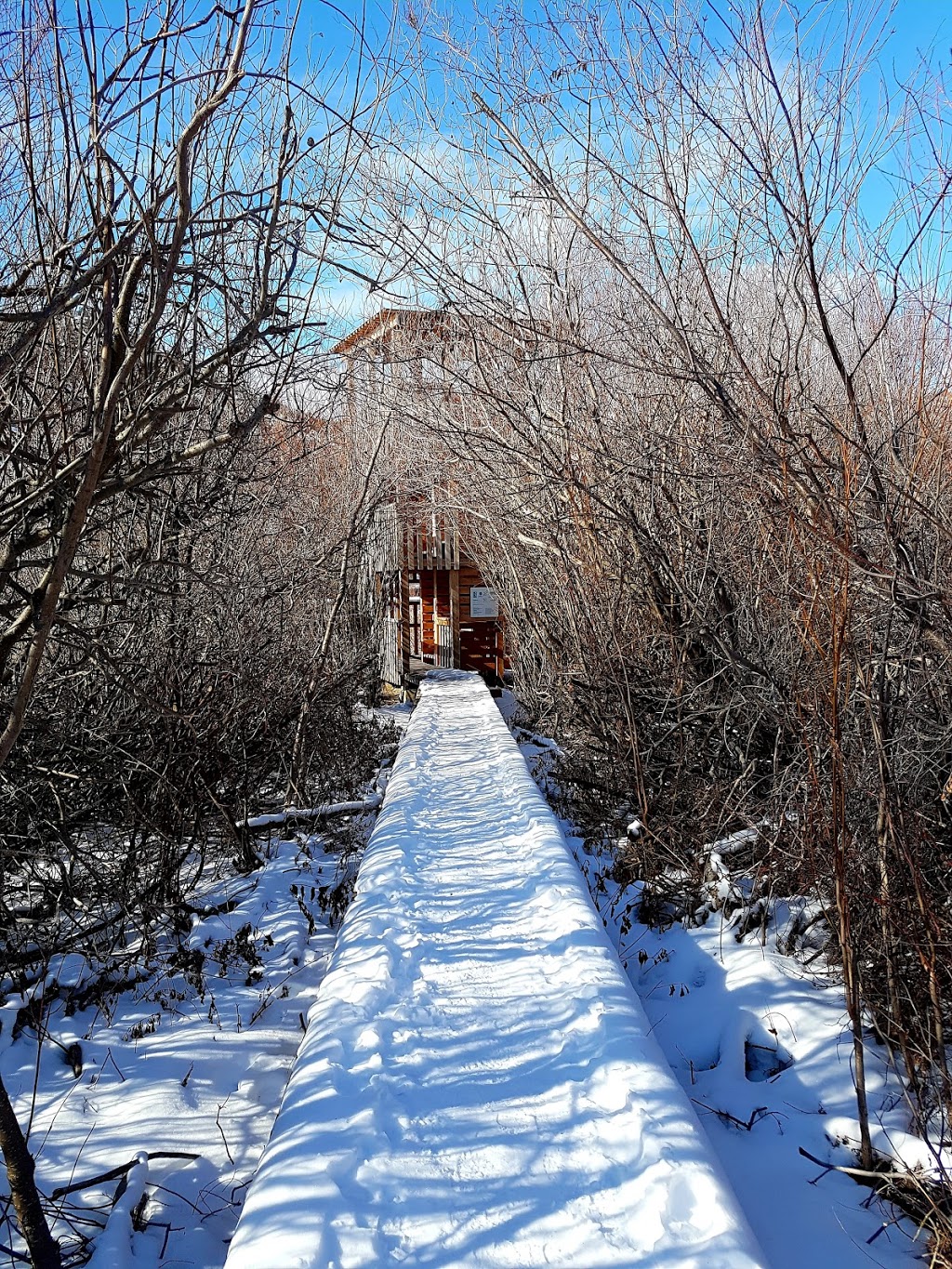 Vaseux Lake Bird Observatory | 1R0, BC-97, Okanagan Falls, BC V0H 1R0, Canada
