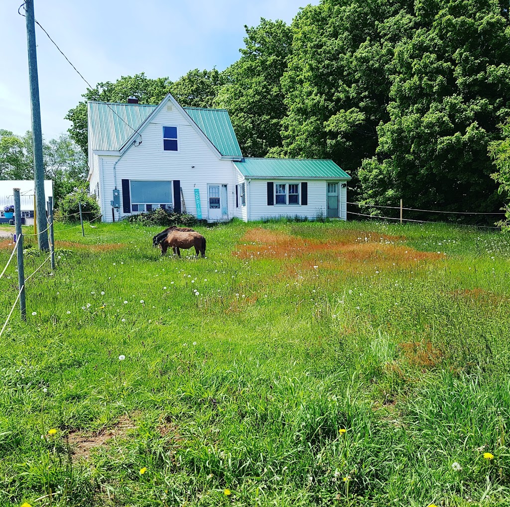Seaglass Stables | 1779 Winsloe Rd, Winsloe North, PE C1E 2Z1, Canada | Phone: (902) 303-2638