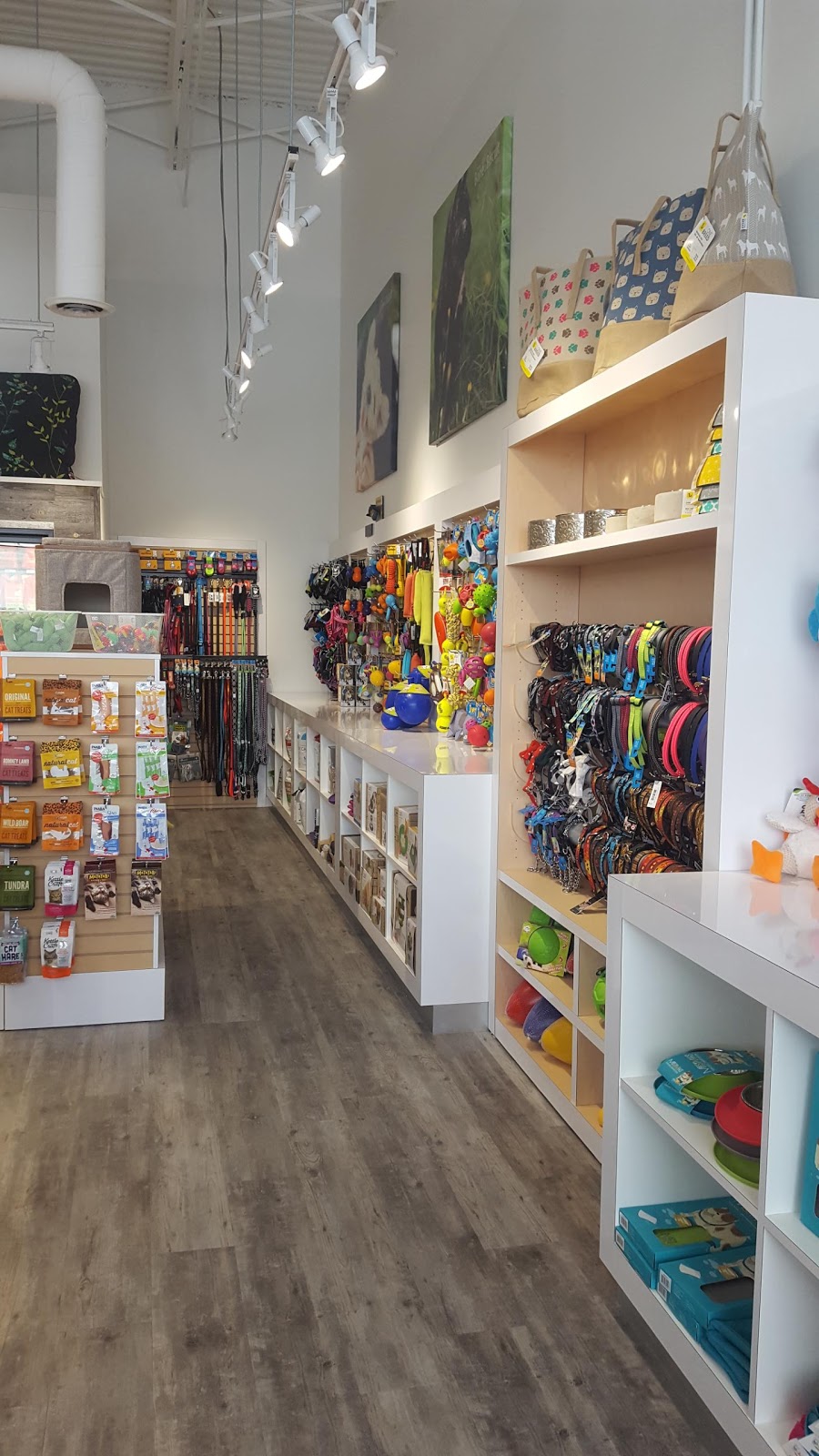 Bone & Biscuit | 9950 137 Ave NW, Edmonton, AB T5E 6W1, Canada | Phone: (587) 520-2752