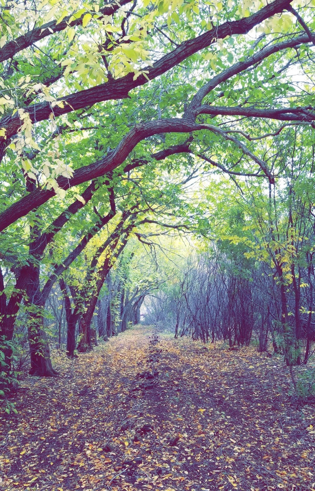 Herbert Stewart Park | 240 Reid Rd, Saskatoon, SK S7N 3J8, Canada