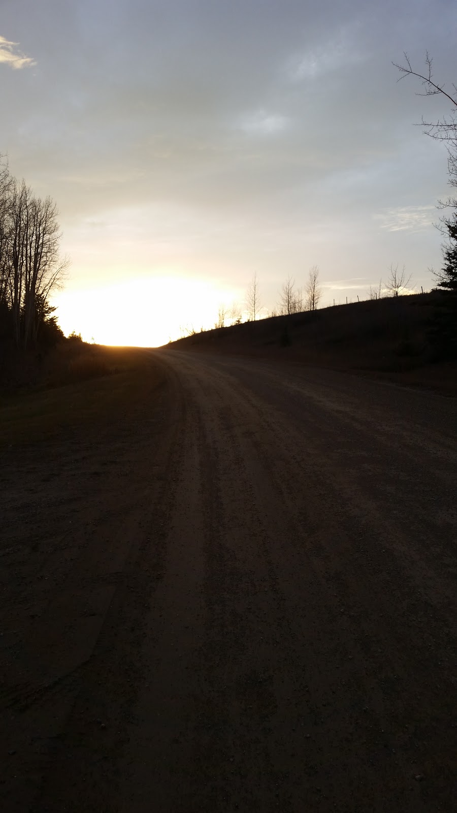Camp Harmattan | RR40, AB T0M 1X0, Canada | Phone: (403) 556-2854