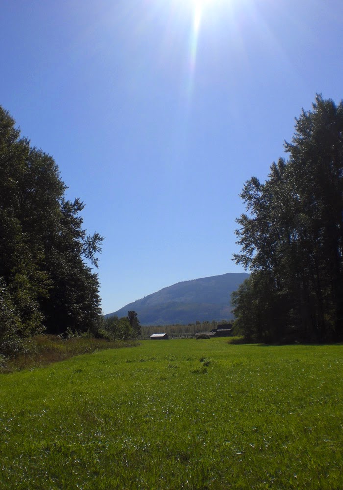 Acme Field | Rothenbuhler Rd, Acme, WA 98220, USA | Phone: (360) 595-2152