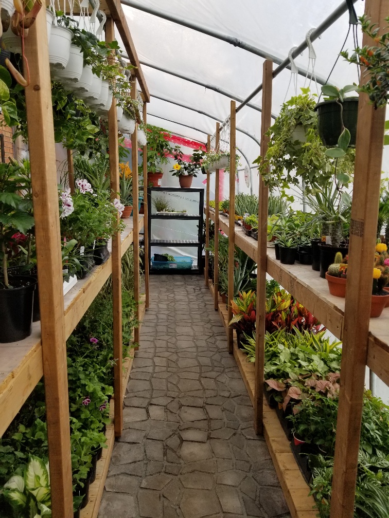 Unique Exotics | Pirates Glen Dr, Trent Lakes, ON K0M 1A0, Canada | Phone: (289) 688-2617
