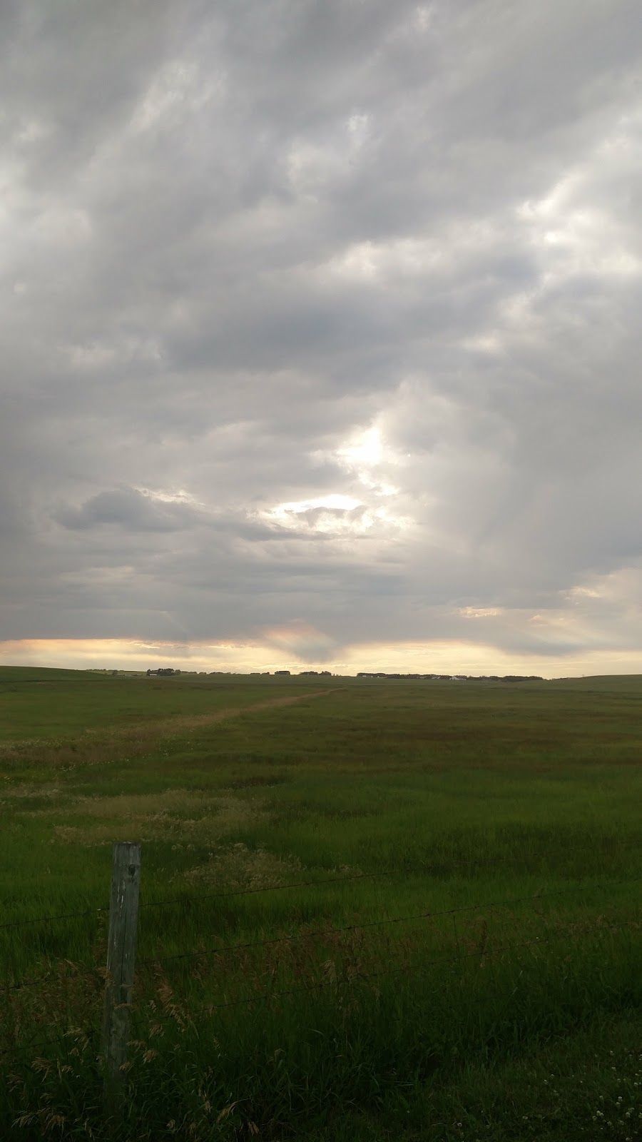 Crossfield Fish Pond - Fish Pond, Crossfield, AB T0M 0S0, Canada