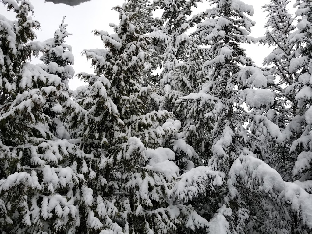 POWDERHORN by Holiday Whistler | 4821 Spearhead Dr, Whistler, BC V0N 1B4, Canada | Phone: (604) 932-2038