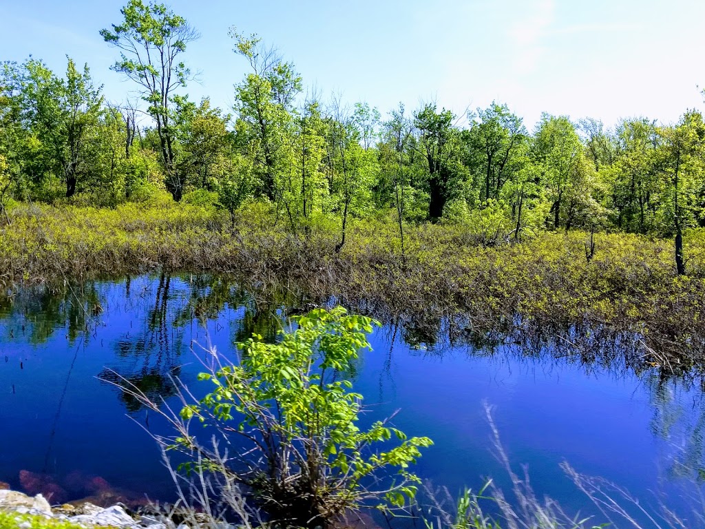 Missisquoi National Wildlife Refuge Admin Building And Visitor C | 29 Tabor Rd, Swanton, VT 05488, USA | Phone: (802) 868-4781