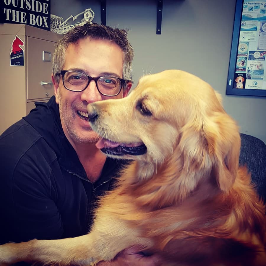 My Pets Chiropractor | 3042 Yonge St, Toronto, ON M4N 2K4, Canada | Phone: (416) 994-6325