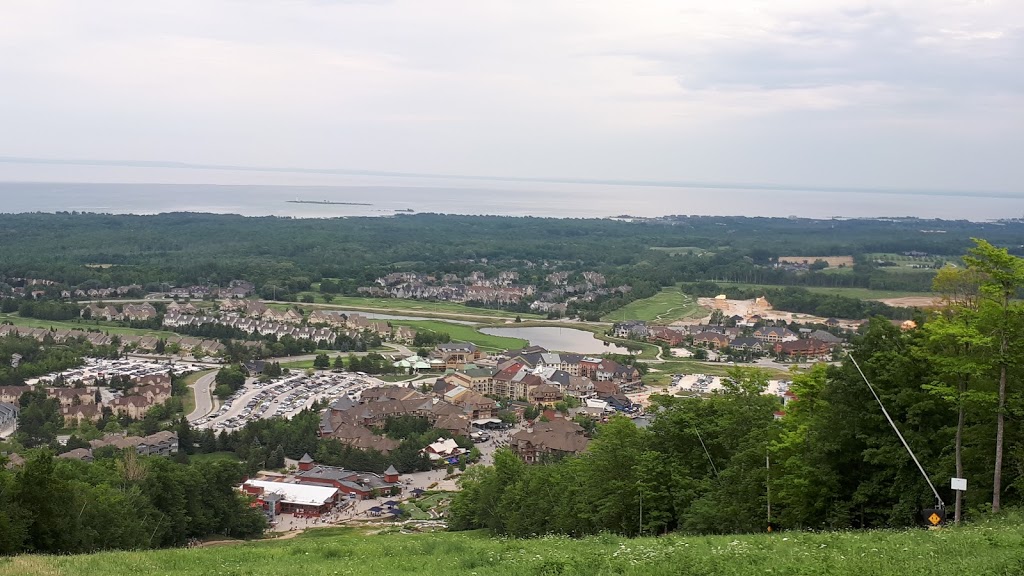 Blue Mountain | 796562 Grey County Rd 19, The Blue Mountains, ON L9Y 0S5, Canada | Phone: (877) 445-0231