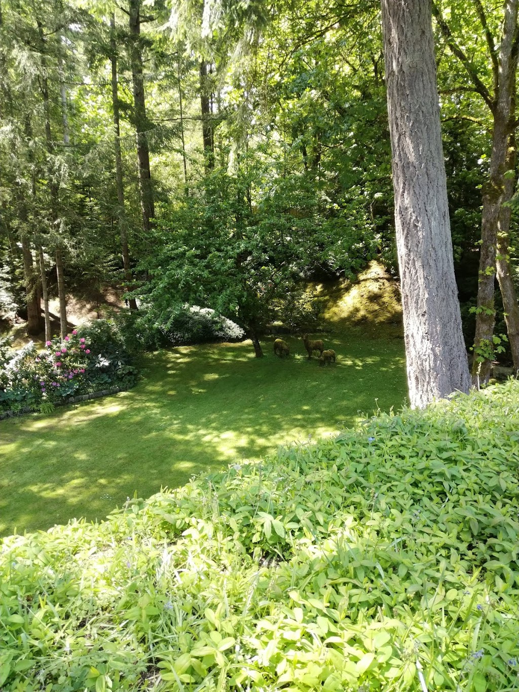 Bog Garden | Brentwood Bay, BC HX12B, Canada
