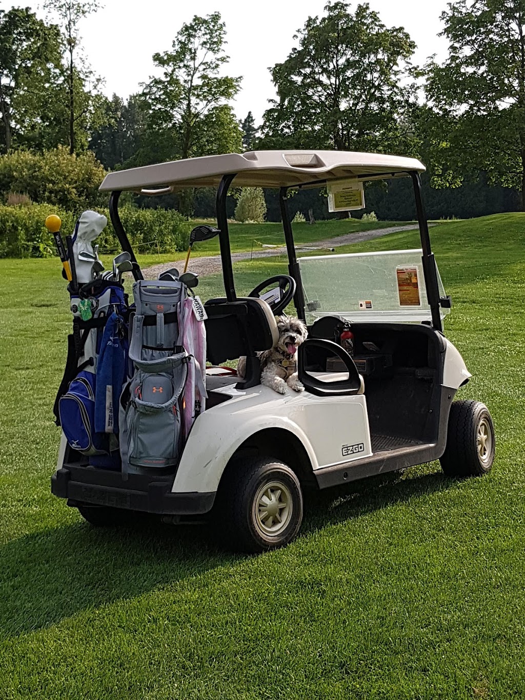 Pickering Golf Club | 2575 William Jackson Dr, Pickering, ON L1V 2P8, Canada | Phone: (905) 683-3822