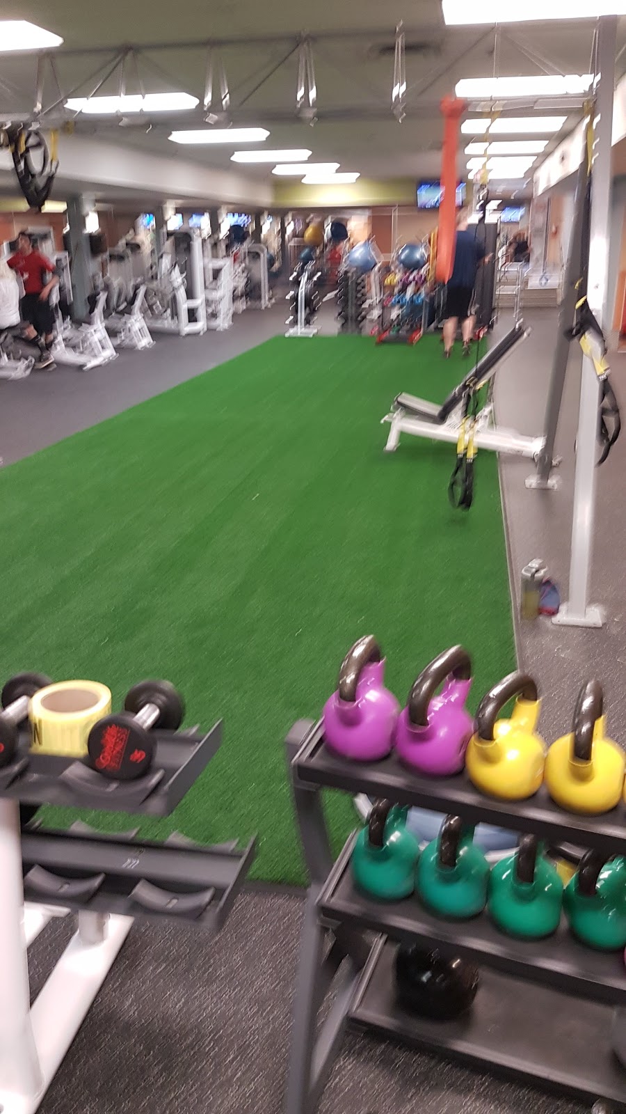 GoodLife Fitness Oakville Town Centre | 300 North Service Rd W, Oakville, ON L6M 2S2, Canada | Phone: (905) 337-7244