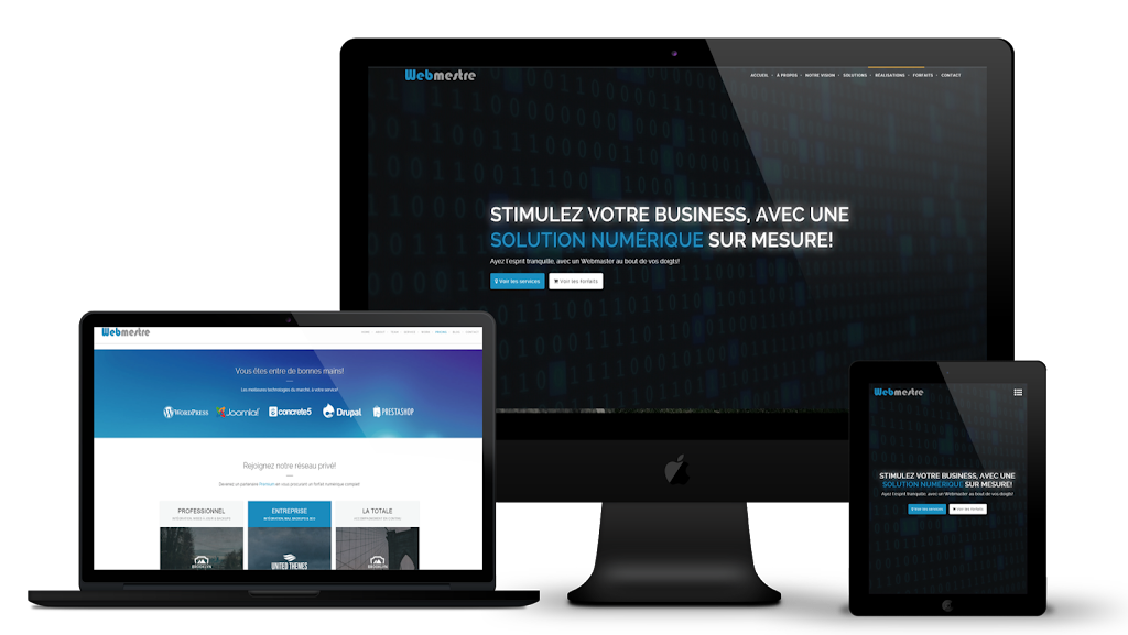 Eric Marcouiller - Webmaster | 442 11e Rue, Grand-Mère, QC G9T 4C6, Canada | Phone: (819) 989-4159