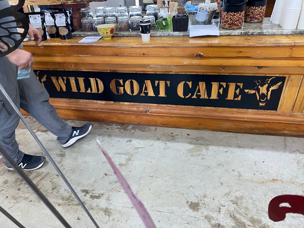 The Wild Goat | 22360 Pioneer Line, Rodney, ON N0L 2C0, Canada | Phone: (519) 785-3033