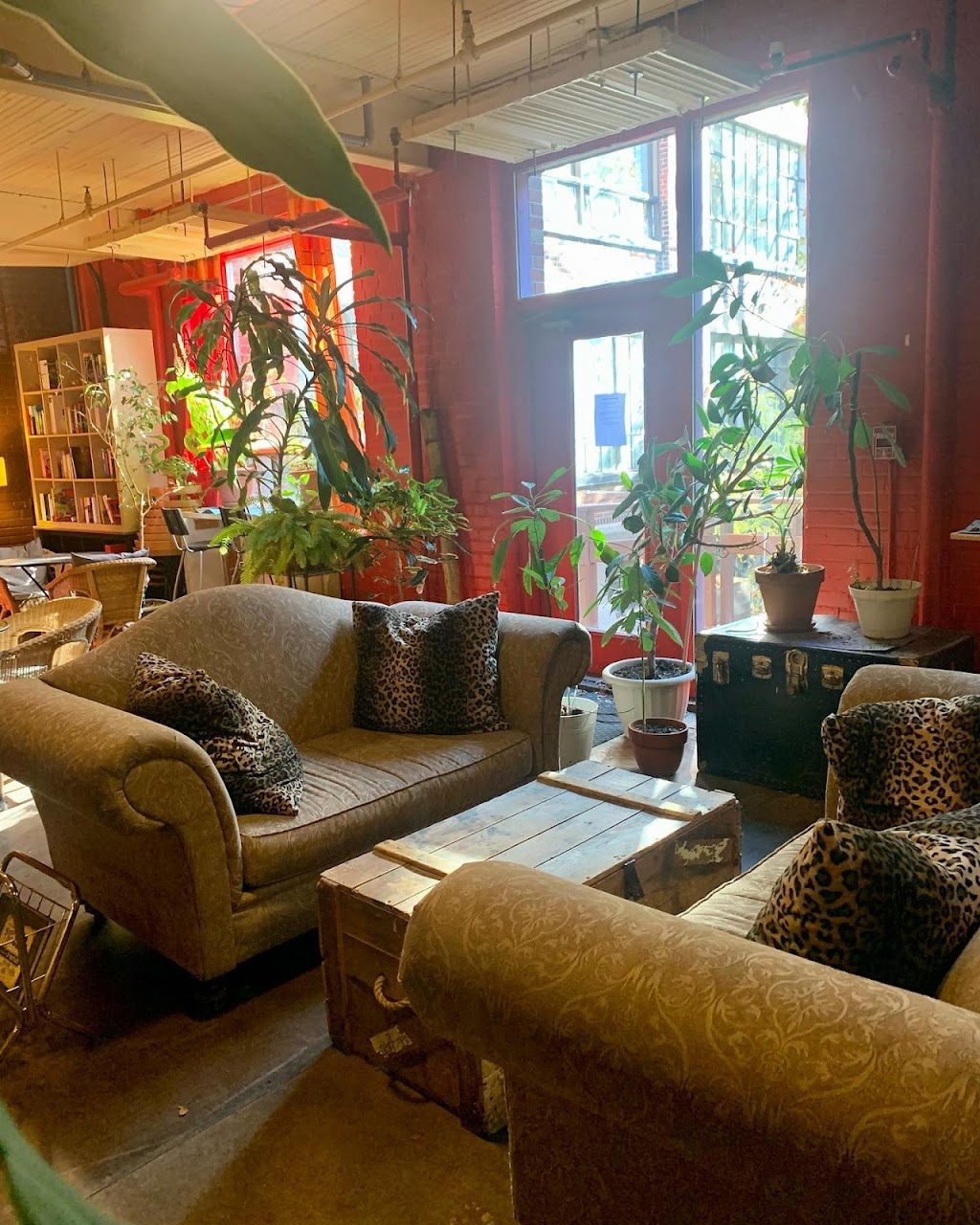 Le Tonique | 4710 Rue Saint-Ambroise #112, Montréal, QC H4C 2C7, Canada | Phone: (514) 989-9945