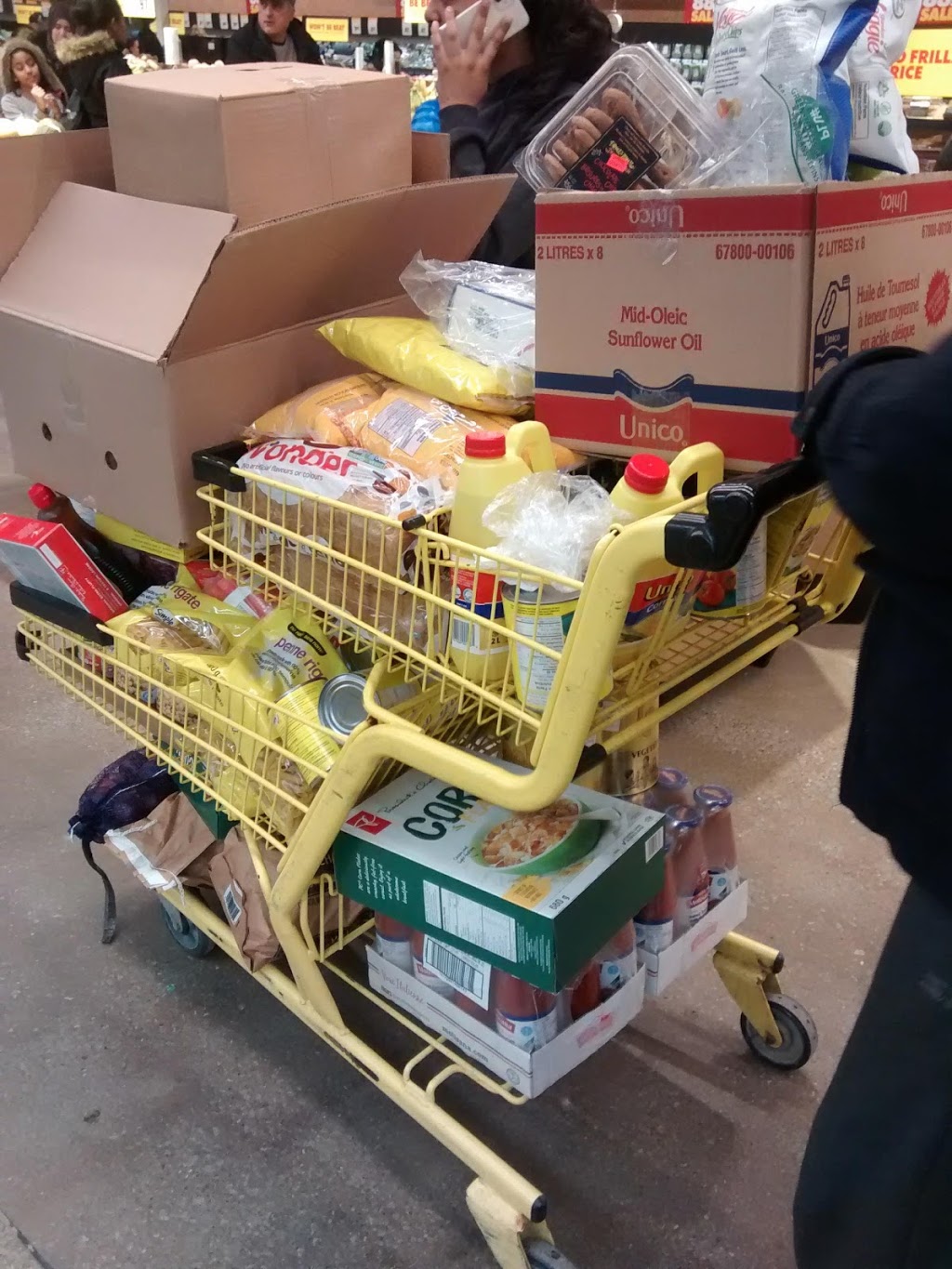 Emiliano and Anas No Frills | 245 Dixon Rd, Etobicoke, ON M9P 2M4, Canada | Phone: (866) 987-6453