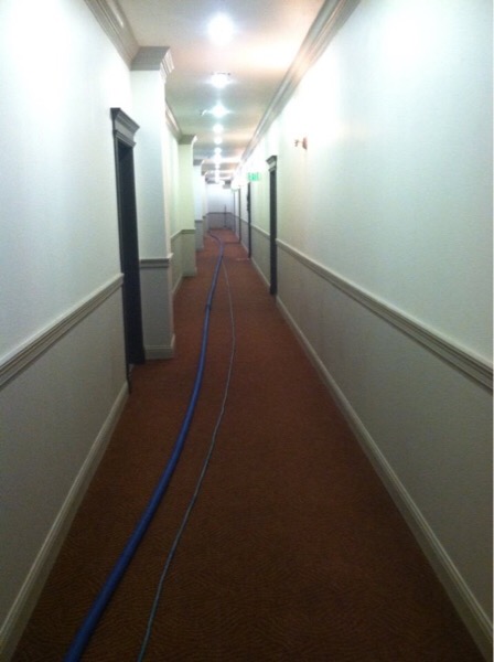 Action cleaning services | 351 Habitat Crescent NW, Edmonton, AB T5A 3A6, Canada | Phone: (780) 680-6337
