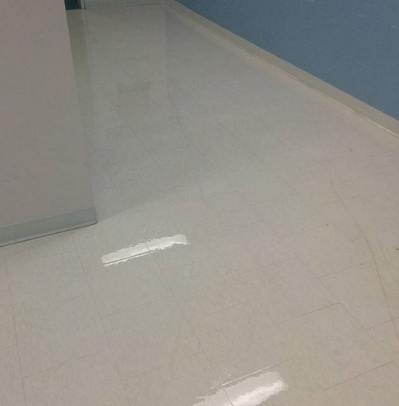 EcoPro Cleaning & Property Maintenance Inc. | 2655 Lawrence Ave E, Scarborough, ON M1P 2S2, Canada | Phone: (855) 372-3776
