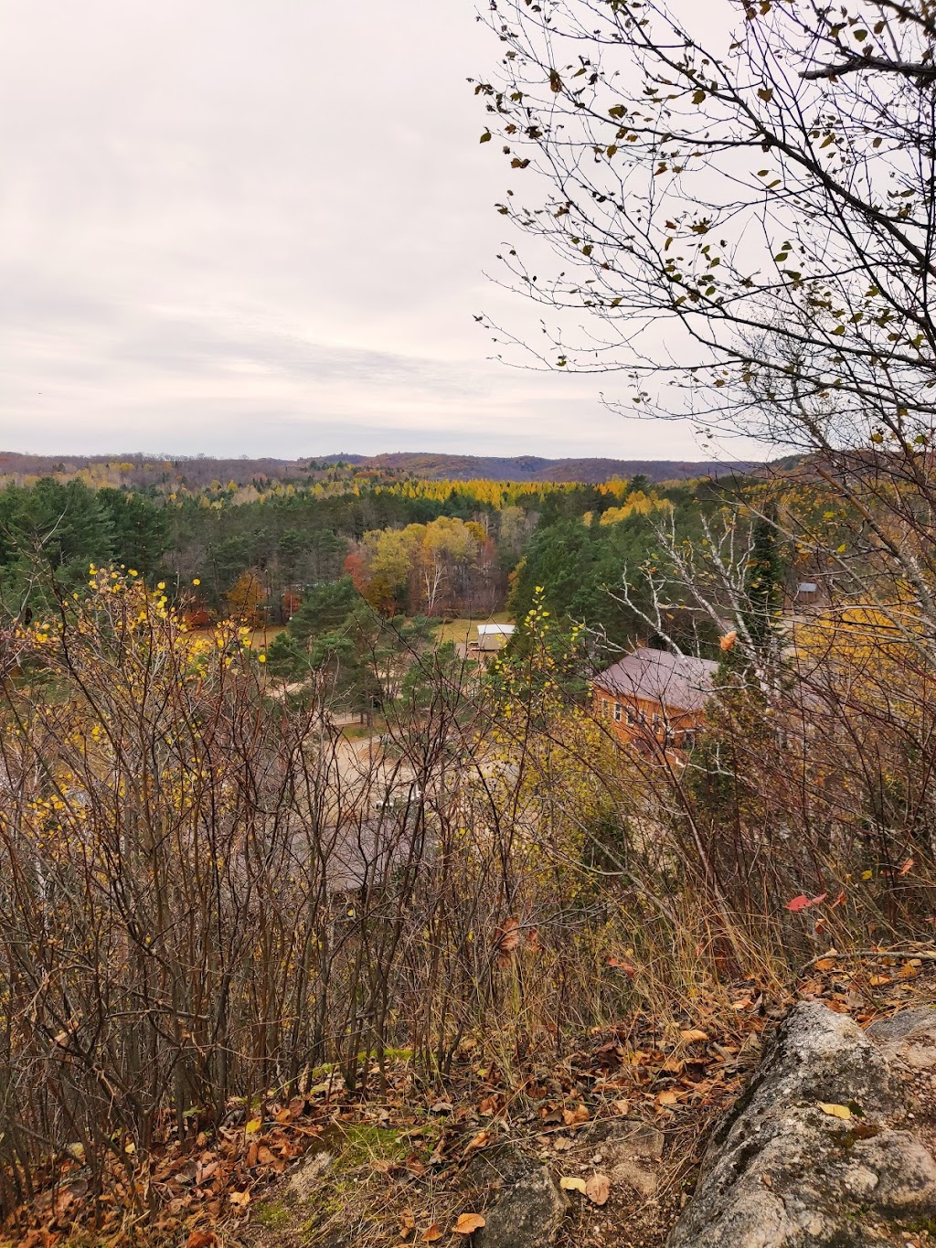 Medeba | 1270 Kennisis Lake Rd, West Guilford, ON K0M 2S0, Canada | Phone: (705) 754-2444