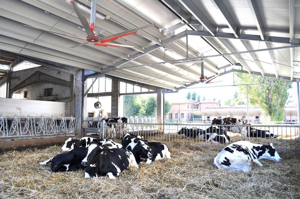 ACES - Arntjen Clean Energy Solutions | 113 Winniett St, Woodstock, ON N4S 5Z8, Canada | Phone: (519) 913-2346