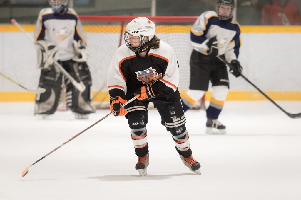 East Selkirk Recreation Association | 1145 Strathcona Rd, East Selkirk Station, MB R0E 0M0, Canada | Phone: (204) 785-2364