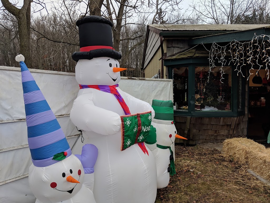 Twinkle Trees | 3906 Mountain Street Opposite, Albright Gardens, Beamsville, ON L0R 1B0, Canada | Phone: (416) 545-7245