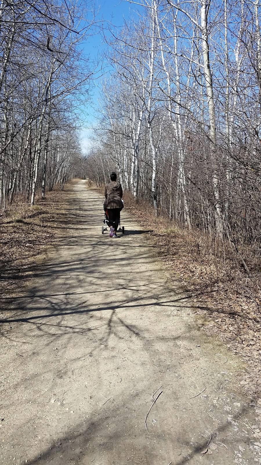 Marj Edey Park | Ridgewood South, Winnipeg, MB R3R, Canada